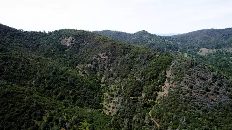 2 Road 200, Coarsegold, CA 93614 photo 5