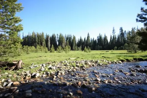 10 Beasore Rd, Bass Lake, CA 93604