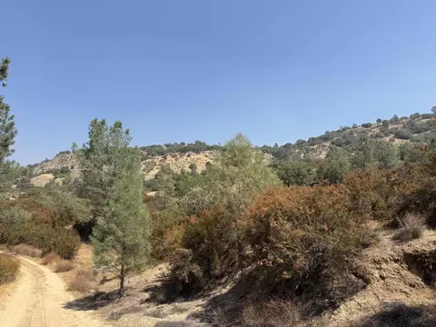 8 Monarch Canyon Rd, Coarsegold, CA 93614