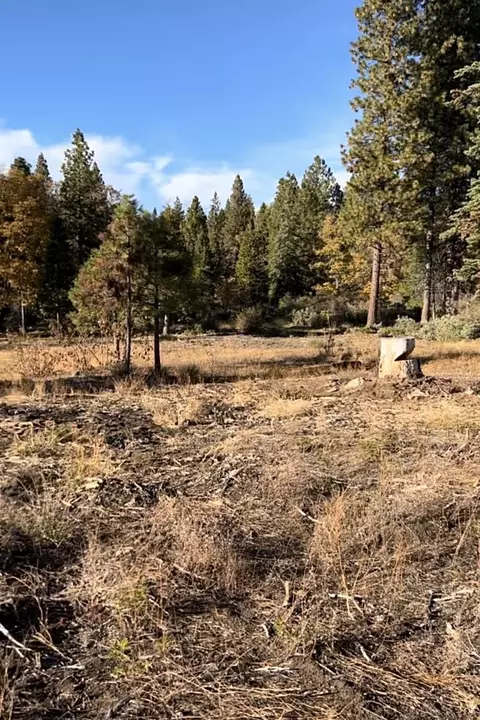 0 Shaver Lk, Auberry, CA 93602