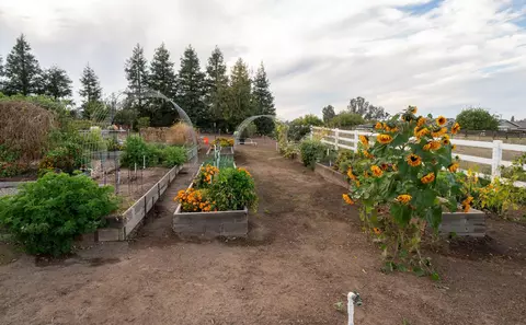 View/Area - 37143 Avenue 16, Madera, CA 93636 photo 5 of 7
