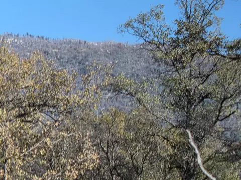 12 1219 Ac Road 222, North Fork, CA 93643 photo 5