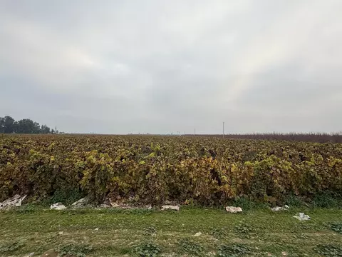 0 W Klepper Ave W, Caruthers, CA 93609