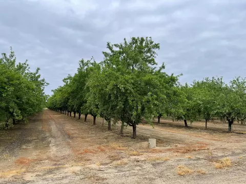 12251 E Jefferson, Del Rey, CA 93616