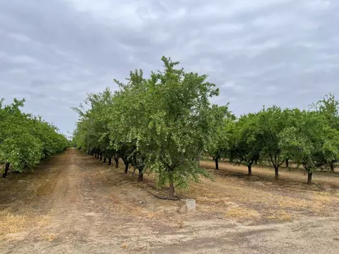 29630 Hwy 145, Madera, CA 93638