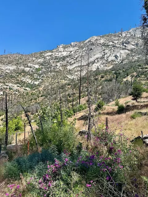55178 Huntington Lake Rd, Big Creek, CA 93605