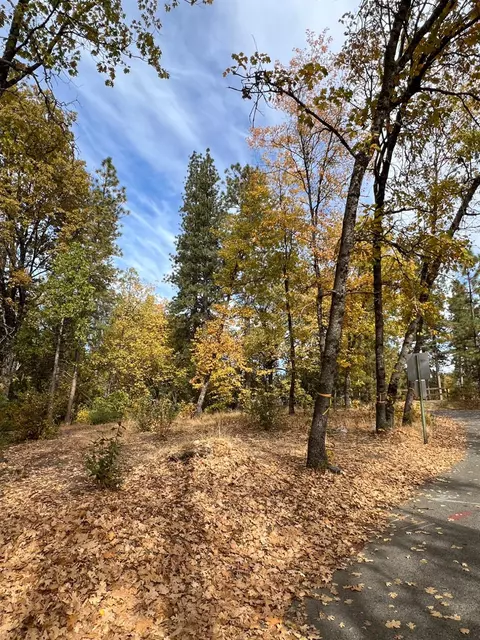 54692 Blue Gill #441, Bass Lake, CA 93604