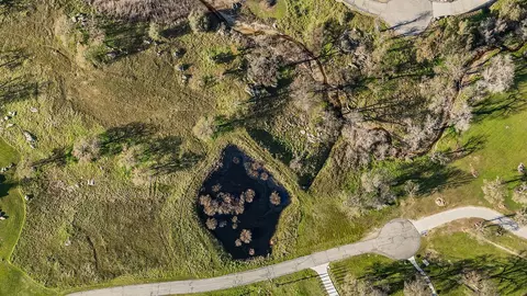 14798 Feather Woods Ln, Prather, CA 93651