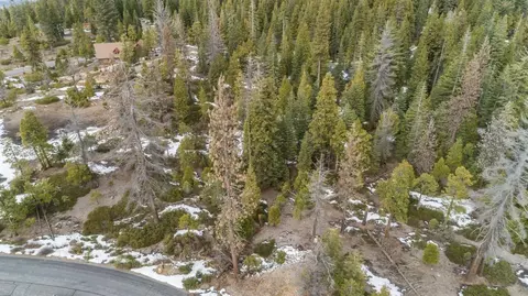39897 Fawn Lilly, Shaver Lake, CA 93664