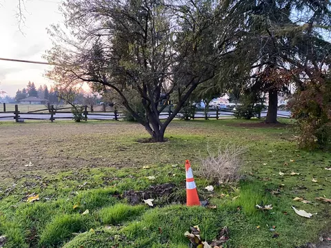 8220 N Fowler, Clovis, CA 93619 photo 8
