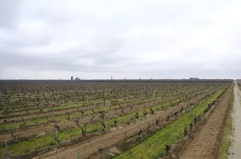 6837 S Granada, Madera, CA 93637