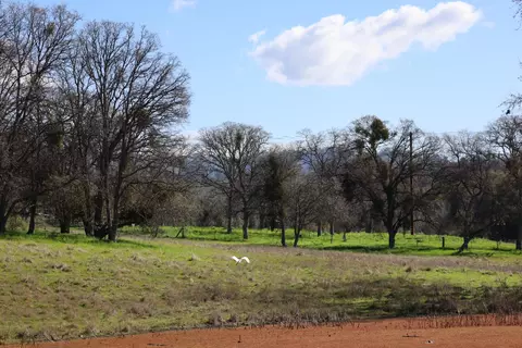 10 Douglas Rd S, Coarsegold, CA 93614