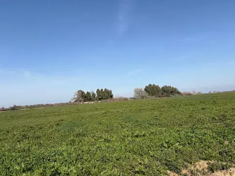 17600 Jerrold, Mendota, CA 93640 photo 3