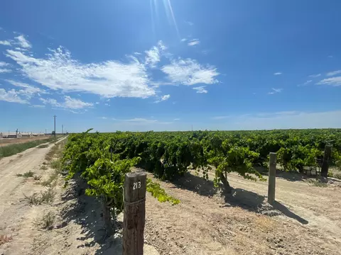 1 S Plumas Ave, Kerman, CA 93630