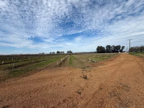 0 E Mount Whitney Ave, Laton, CA 93242 photo 7