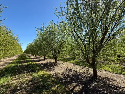 Other - 10277 Road 28 12, Madera, CA 93637 photo 14 of 18