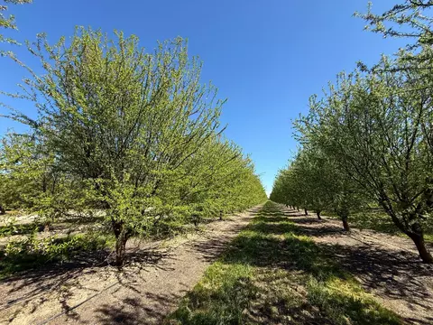 Other - 10277 Road 28 12, Madera, CA 93637 photo 13 of 18