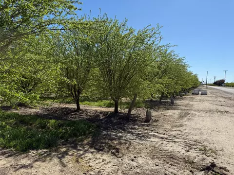 Other - 10277 Road 28 12, Madera, CA 93637 photo 16 of 18