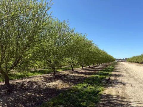 Other - 10277 Road 28 12, Madera, CA 93637 photo 15 of 18