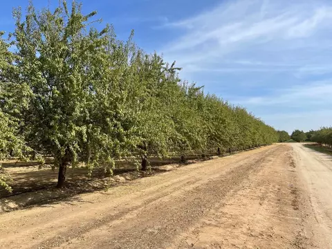 Other - 10277 Road 28 12, Madera, CA 93637 photo 12 of 18