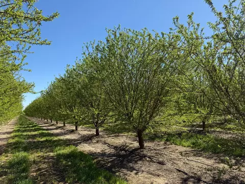 Other - 10277 Road 28 12, Madera, CA 93637 photo 17 of 18