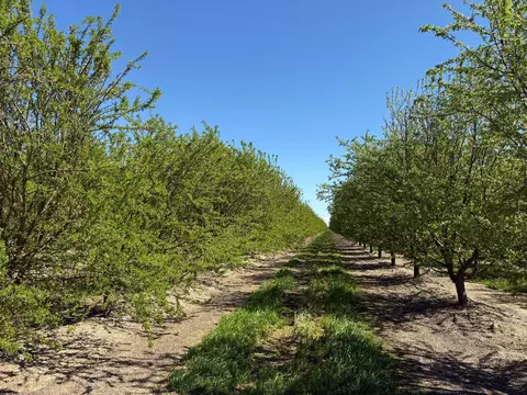 Other - 10277 Road 28 12, Madera, CA 93637 photo 18 of 18