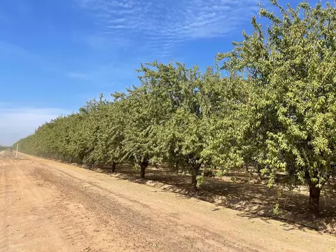 Other - 10277 Road 28 12, Madera, CA 93637 photo 11 of 18