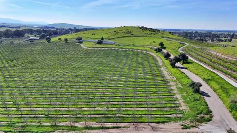 Other - 13638 E Shepherd Ave, Clovis, CA 93619 photo 9 of 11