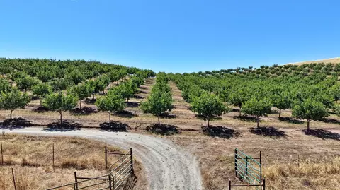 Other - 13638 E Shepherd Ave, Clovis, CA 93619 photo 2 of 11