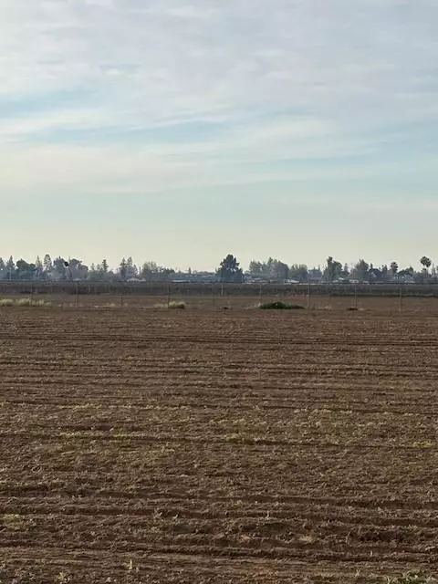 9449 S Mccall Ave, Selma, CA 93662 photo 6