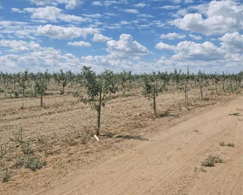 Undisclosed, Lemoore, CA 93245