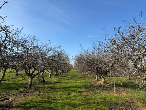 1 Rd 28 12, Madera, CA 93638