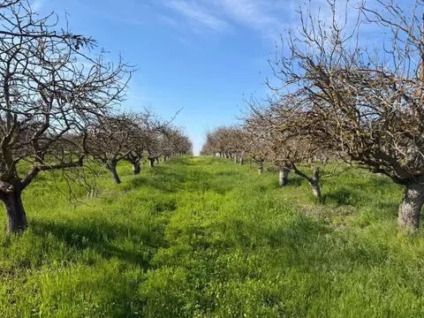 1 Rd 28 12, Madera, CA 93638 photo 4