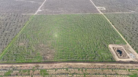 1 Rd 28 12, Madera, CA 93638 photo 2