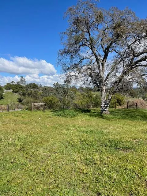 Exterior - 26943 Butterfield Stage Pl, O Neals, CA 93645 photo 13 of 15