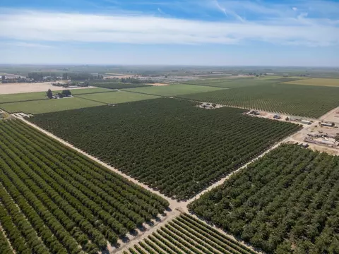 10454 E Clarkson Ave, Kingsburg, CA 93631
