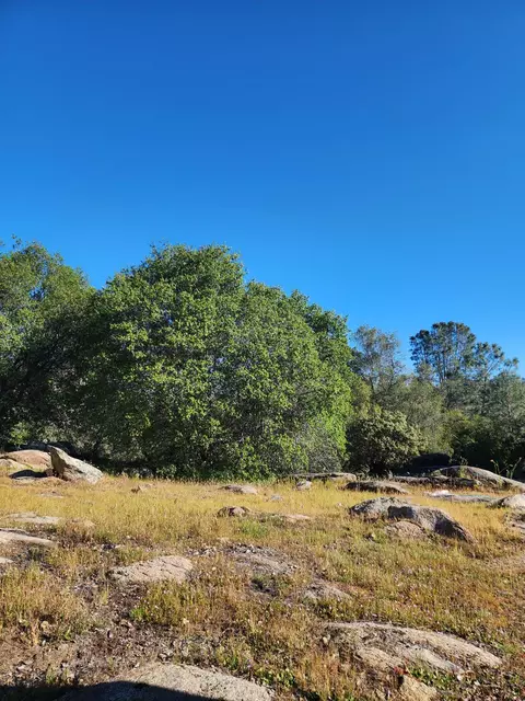 0 Rocky Ridge Rd, Coarsegold, CA 93614