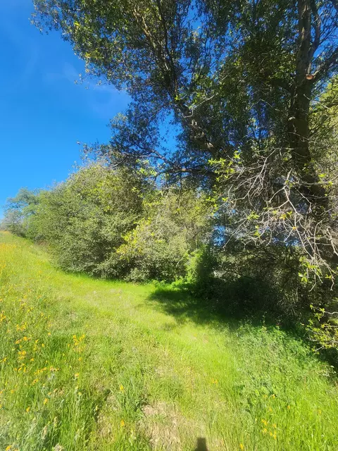 0 Wells Rd, Coarsegold, CA 93614