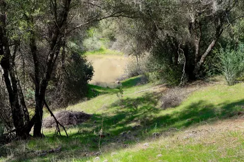 6 Knickerbocker, Ahwahnee, CA 93601 photo 4