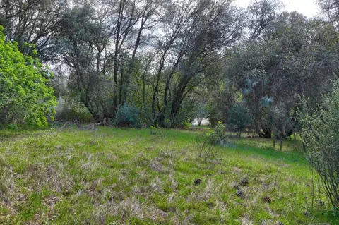 6 Knickerbocker, Ahwahnee, CA 93601 photo 13