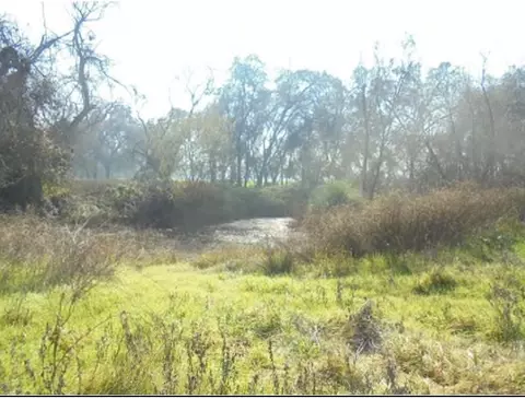 1000 S Rainbow Rte, Sanger, CA 93657 photo 11