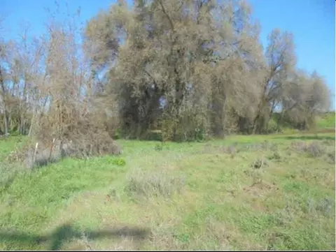 1000 S Rainbow Rte, Sanger, CA 93657 photo 18