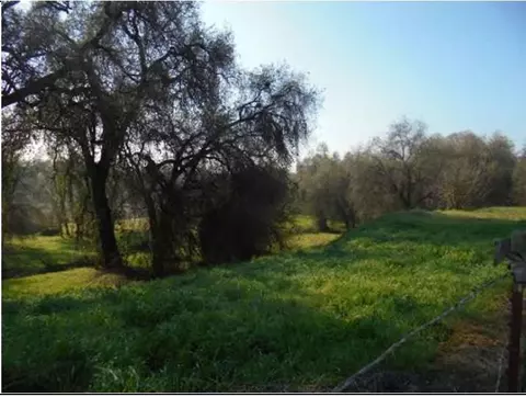 1000 S Rainbow Rte, Sanger, CA 93657 photo 13