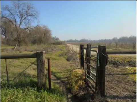 1000 S Rainbow Rte, Sanger, CA 93657 photo 16