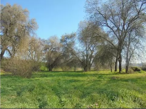 1000 S Rainbow Rte, Sanger, CA 93657 photo 17