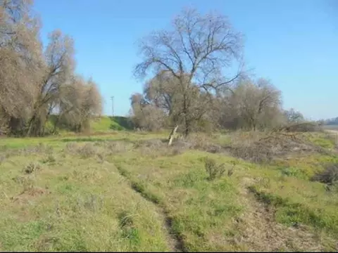 1000 S Rainbow Rte, Sanger, CA 93657 photo 15