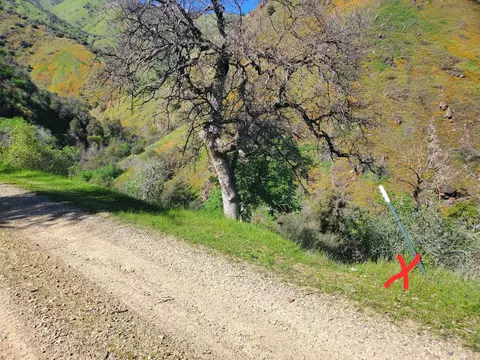 40 Trimmer Springs Rd, Miramonte, CA 93657 photo 23
