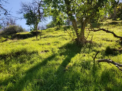 40 Trimmer Springs Rd, Miramonte, CA 93657 photo 10
