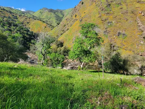 40 Trimmer Springs Rd, Miramonte, CA 93657 photo 4