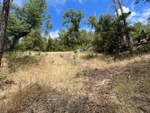 10 Granite Ridge Ln, Bass Lake, CA 93604